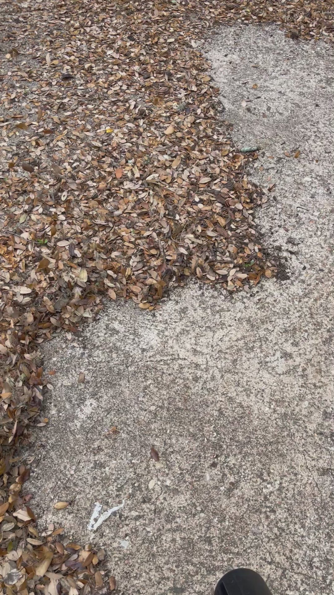 Seasonal Yard Cleanup
Leaf removal, debris cleanup, storm cleanup, and seasonal property maintenance.